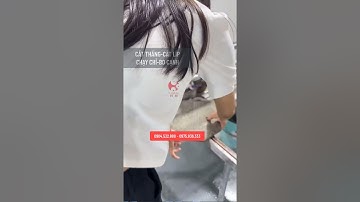 Cắt hình bát giác chuẩn đẹp đơn giản nhanh bằng máy cắt gạch nước XINKAI Z2S #maycatgachxinkai