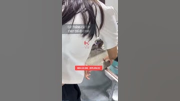 Cắt hình bát giác chuẩn đẹp đơn giản nhanh bằng máy cắt gạch nước XINKAI Z2S #maycatgachxinkai