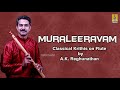 Muraleeravam  classical krithis on flute by ak reghunathan