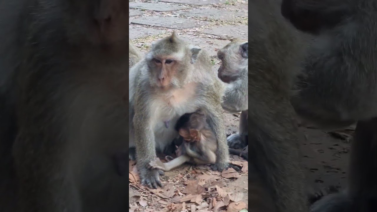 DeeDee and Jill Mom. 