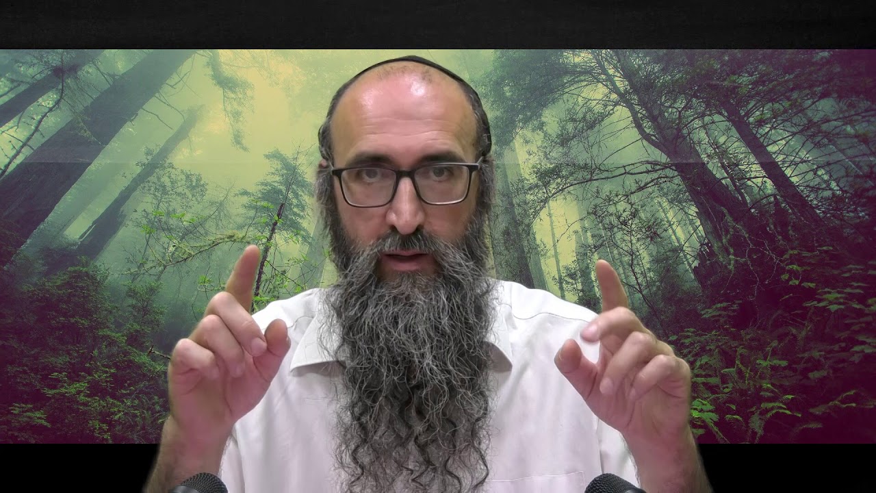 ON VA CHANGER LE MONDE 1 - Le secret de la bénédiction des fils - Rav Itshak Peretz