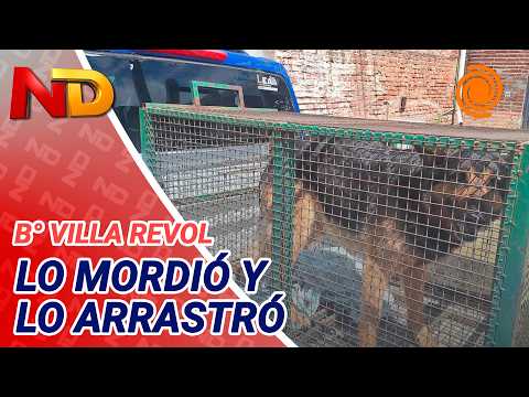 DANGEROUS DOG ATTACK: German SHEPHERD BIT a 12-YEAR-OLD BOY in the FACE