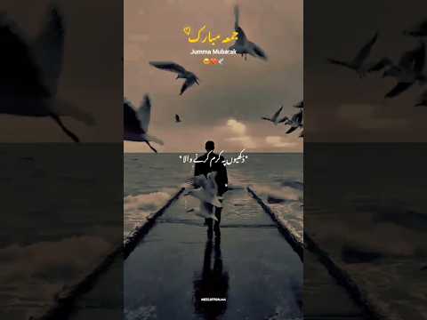 JUMMA Mubarak 🥰🥰😘😍 #foryou #virlshort #jummamubarak #ch_hamza100