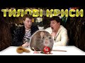 Тилові криси 4. Бампер і Сус