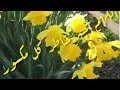دعاء الصباح لكل مكسور حالات واتس اب جميلة