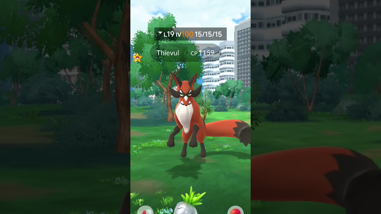 Wild Mighty Thievul 💯 Catch Pokemon Go 