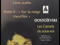 Dostoevski  les carnets du soussol 22 livre audio deuxime partie