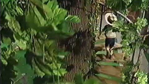 Outdoor Fun! (2004 Version) Part 3