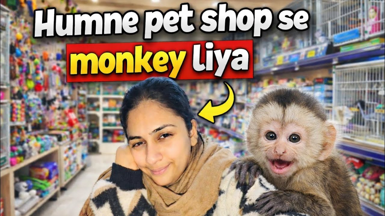 Hum Gaye The Ghoomne… Lekin 😱 | humne pet shop se kiya liya?| hum5 |