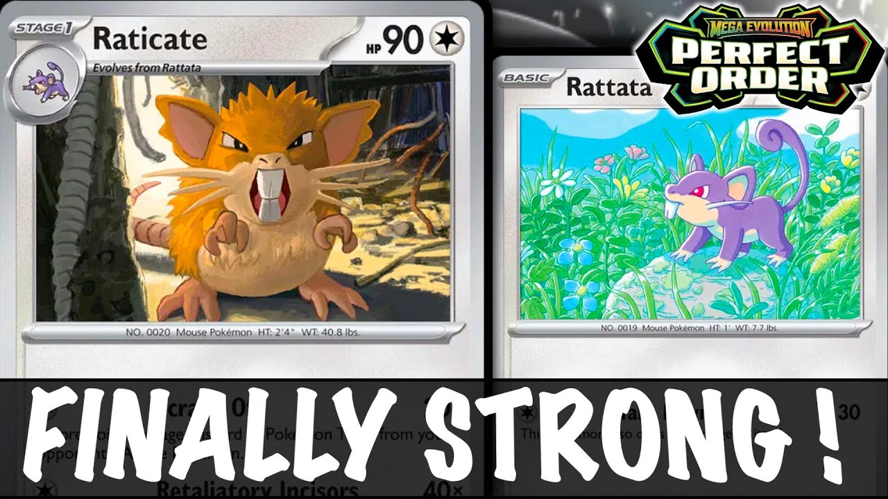 They Finally Made RATICATE Super Strong ! Deal One Hit KOs ! (PERFECT ORDER) Pokemon TCG Live They Finally Made RATICATE Super Strong ! Deal One Hit KOs ! (PERFECT ORDER) Pokemon TCG Live