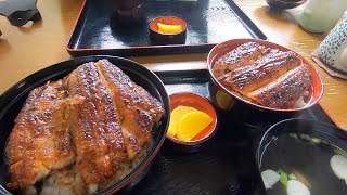 【うなぎ】肉厚ぶりぶりのうなぎを炭火で焼き上げる〜三重県松阪市「わかや」