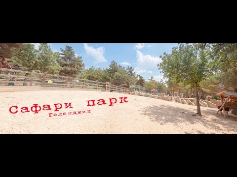 Что посмотреть в Геленджике / Экскурсия в Сафари парк