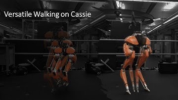 Versatile Walking on Cassie via H-LIP