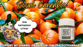 ROYAL CANNABIS STRAIN REVIEW: Mandarin (🍊🔥💨) Use Code “SPACECITY”
