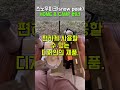 가스버너는 좀 큰데... 좀 작은건 없을까? #캠핑 #버너 #스노우피크 #작은 부피 #랜턴 #캠핑 #캠핑필수템