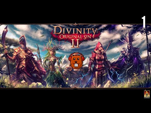 Видео: Divinity 2 с Майкером и БСП (1 Часть)