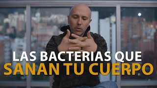 ESTOS SON LOS PROBIÓTICOS QUE LE RECOMIENDO A MIS PACIENTES | LAS BACTERIAS QUE SANAN TU CUERPO