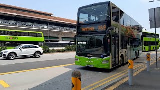 (Taiwan Waves Of Wonders) SG6132B(MDDEP) On Service 969 At Yishun Avenue 2