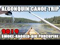 Algonquin Canoe & Camping Trip - Smoke to Ragged to Big Porcupine Lakes 2019