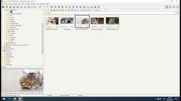 FastStone Image Viewer v.7.5 Exploit - Stack-based Buffer Overflow