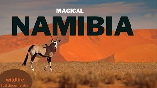 Wild Namibia: Unforgettable Encounters with Africa's Incredible Wildlife