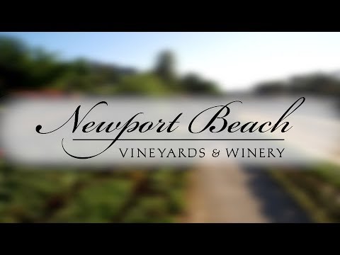 Newport Beach Vineyards Winery Tour You Newport Beach Vineyards Winery Tour