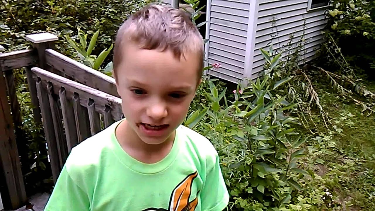 standish taxes YouTube