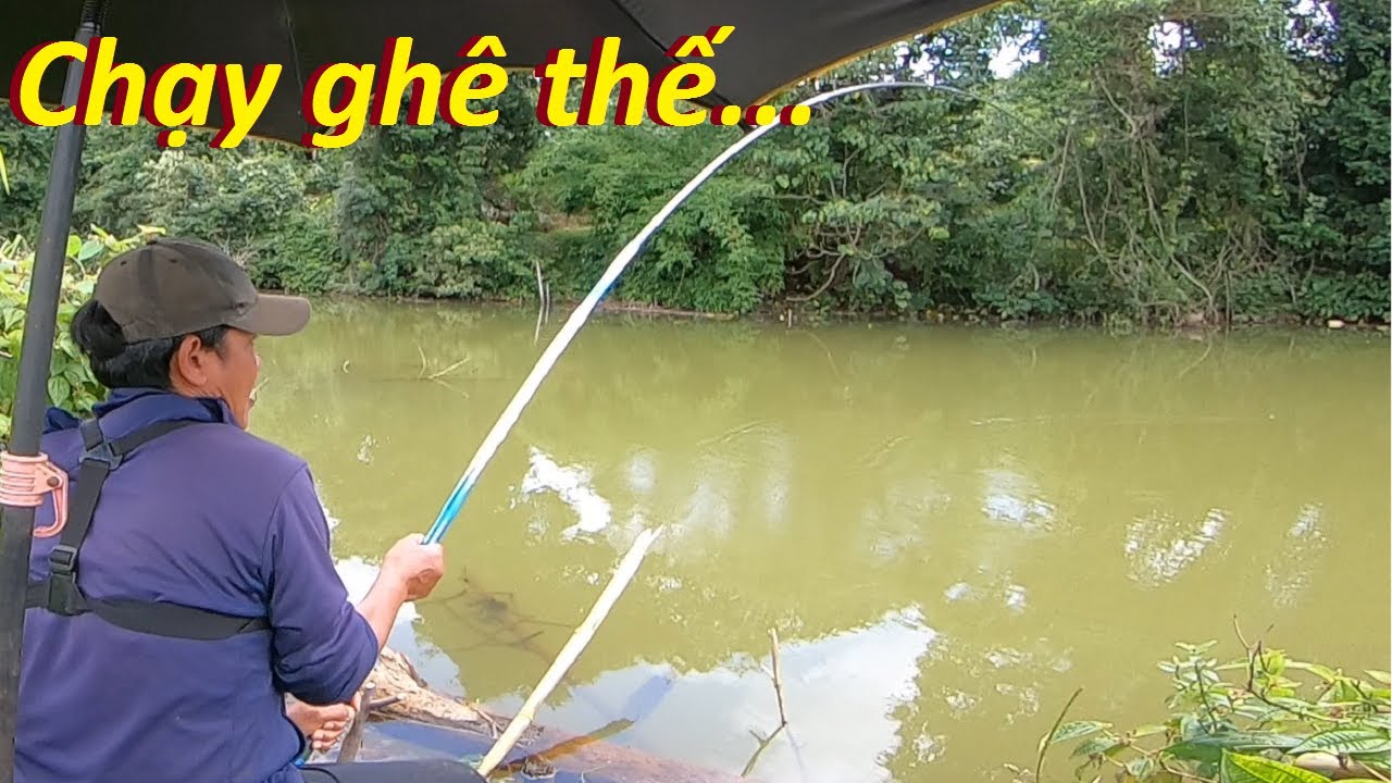 Câu lục | Khám phá đầu nguồn mùa nước dâng và cái kết