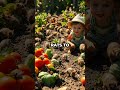 Rats Invade Garden! See How Dad Saved The Day! 🌿🐀