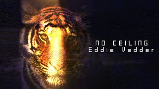 Eddie Vedder - No Ceiling | cover