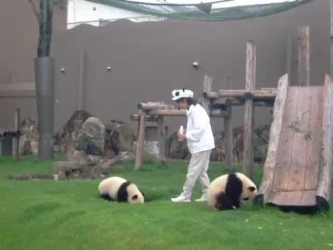 アドベンチャーワールド　海浜と陽浜　20110512
