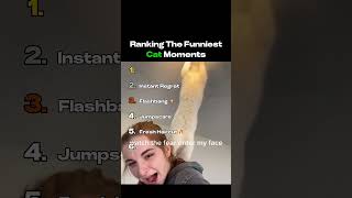 Ranking Funniest Cat Moments🤣🤣🤣 #funny #cat #ranking