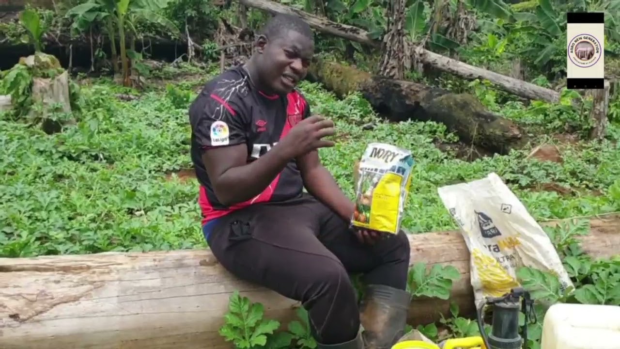 Production de Pastèque: Quels produits utiliser?