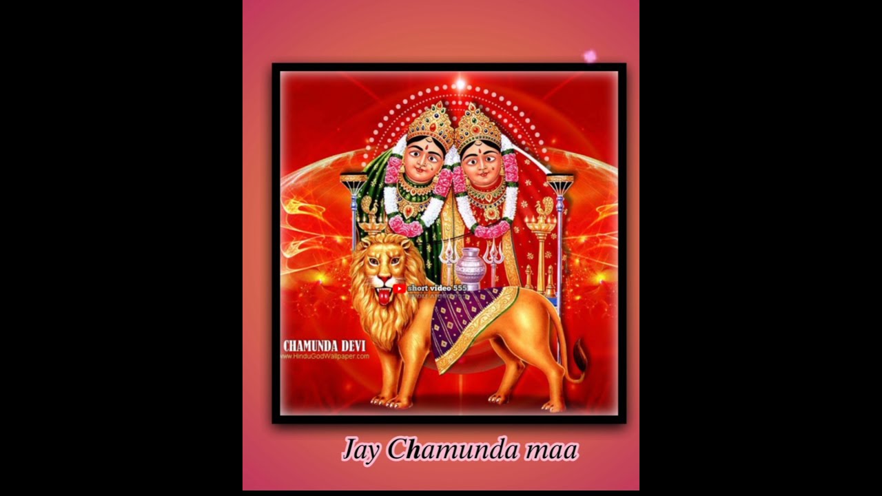 Chamunda Maa Status 2021  Chamunda Maa Status Vijay Suvada  Shorts