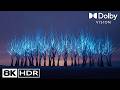 Ultimate 8K HDR Nature Showcase – Stunning Ultra HD Views | NatureScape Ultra
