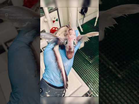 صور نادرة لم تراها من قبل الجزء 22