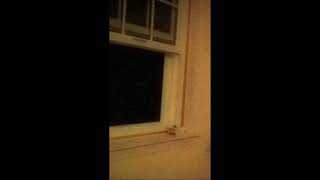 Serial killer Jerma arrested 12-20-2022