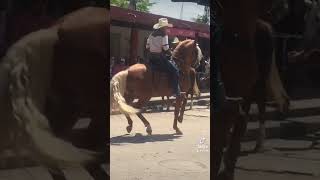 Jalisco 2022 fiestas en el zapote