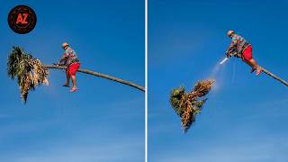 Idiots With Chainsaws: Tree Cutting Fails | Extreme Dangerous Logging Truck Fails #87