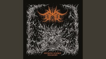 Necronaut (Cosmic Apoptosis)