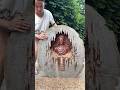 🪵✨ Hidden Buddha Revealed from a Giant Tree Log 🙏🌿 #wood statue #buddha #statue #buddha statues#art