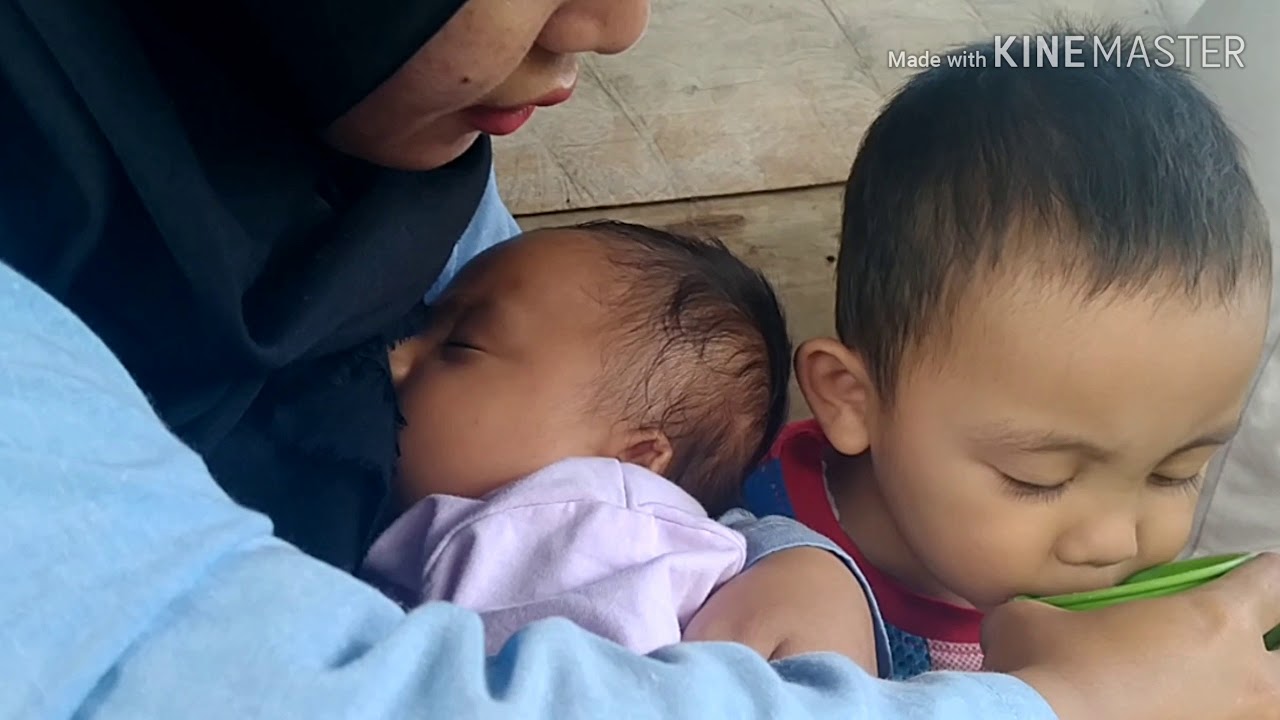Kebun ataghan Gemuruh Pak Matdisan Sekeluarga (Tanah Abang Kec. Semende ...