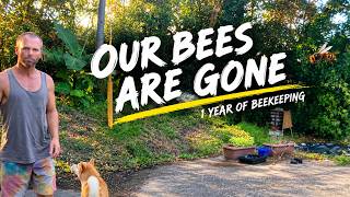 Our Japanese Honey Bee Journey Came to an Unexpected End | Rural Japan