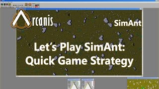 Let's Play SimAnt - Quick Game