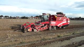 Aardappelen rooien 25-09-12