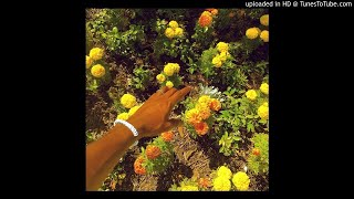 Peach Fuzz Clean - Tyler, The Creator