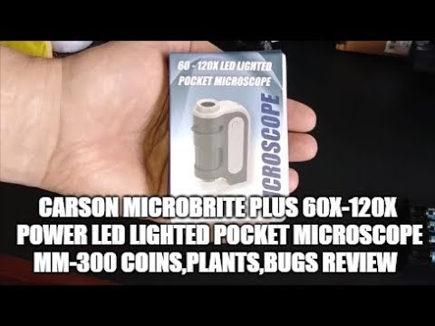 Vignette de la vidéo Carson MicroBrite Plus 60x 120x Power LED Lighted Pocket Microscope MM300 Coins,Plants,Bugs & Review