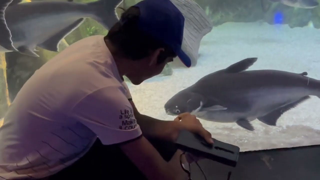 Science City Aquarium 🐠 | 