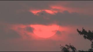 Air Quality: Chicago's Worst Ever |  Deadly Texas Flooding | Federal Disaster Aid - The Forecasters