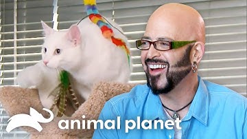 Jackson Galaxy